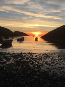 Garn Isaf Pembrokeshire St Davids Holiday Cottages